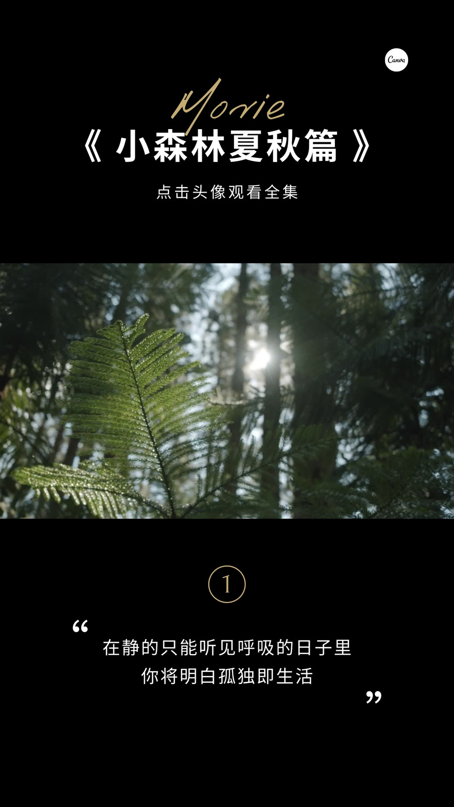 黑金色电影推荐视频背景配图动感个人分享抖音视频 黑金色电影推荐视频背景配图动感个人分享抖音视频