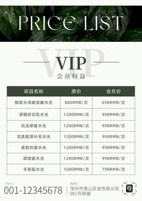 价目表_价目表制作_价目表生成器 - Canva可画